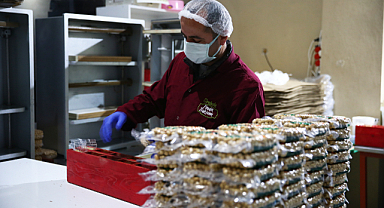 Giresun'da işletmeler devlet desteğiyle üretimde verimliği artırıyor