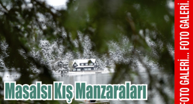 Doğa Harikasında Kış Güzelliği 