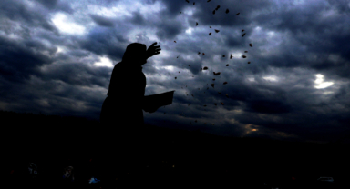 Havalar ısındı tescilli sarımsak toprakla erken buluştu