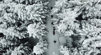 Kar altında büyüleyici güzellik