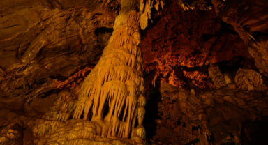 Milyonlarca yıllık mercan fosillerini görenler hayran kalıyor