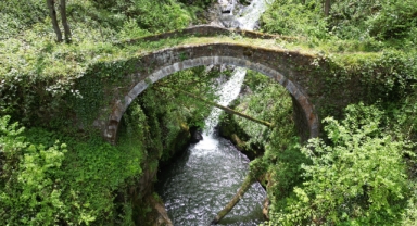 Adına türküler yakılan Ağasar Deresi keşfedilmeyi bekliyor     