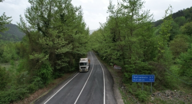 Ağaç tüneli hayran bırakıyor   