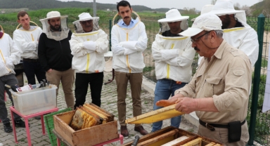 Kadınlar ve genç çiftçiler arıcılığa teşvik ediliyor