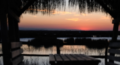 Kızılırmak Deltası’nda bahar güzelliği  