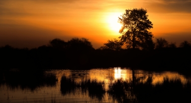 Kuş Cenneti’nde gündoğumu 