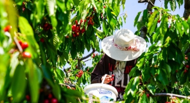 Depremden etkilendi, köyüne geri döndü 