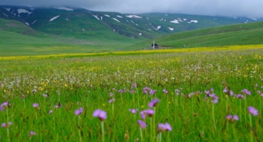 Dağlar baharın renklerine büründü