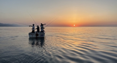 Olta balıkçılarının yüzü istavritle güldü