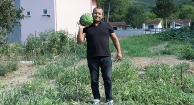 Deneme amaçlı yetiştirdiği karpuzları vatandaşlara ikram ediyor