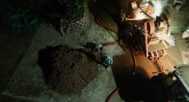 Fındık hasadı biten bölgelerde harmanlama ve ayrıştırma aşamasına geçildi