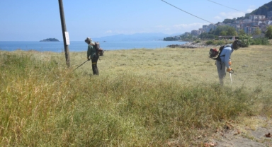 Giresun'da otlar biçiliyor (Foto Galeri)