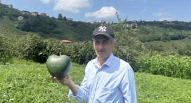 Karadenizli Temel'in talihi şekilli karpuzla değişti