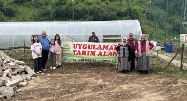 Yavuzkemal’de Örtü Altı Sebze Üretimi Yükseliyor