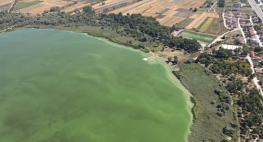 Yeniçağa Gölü Alg Patlamasıyla Yeni Bir Görünüme Büründü