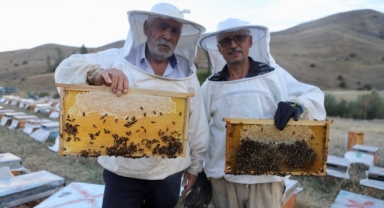 Abi kardeş arıcılığa hobi olarak başlayıp 7 ton bal üretti (Foto Galeri)