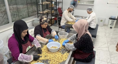 Ailesinin ürettiği fındığın değerini artırmak için işleme atölyesi kurdu (Foto Galeri)