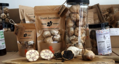 Coğrafi işaretli Taşköprü sarımsağından üretilen siyah sarımsak ihraç ediliyor