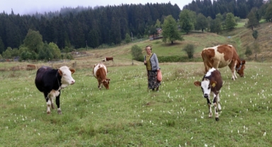 Doğu Karadeniz yaylalarında sonbahar (Foto Galeri)