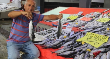 Karadeniz'de palamut bereketi (Foto Galeri)