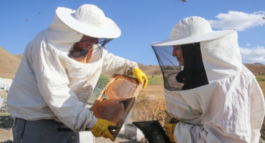 Ordulu arıcı çift 