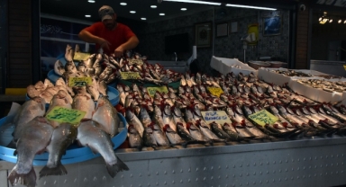 Palamut tezgahları süsledi, fiyatlar yarıya düştü (Foto Galeri)