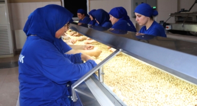 Türk fındığı dünya pazarında gücünü artırıyor (Foto Galeri)