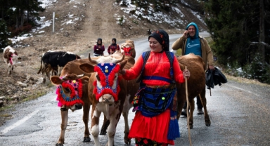 Doğu Karadeniz'de kar yağışı yaylalardan dönüşü hızlandırdı (Foto Galeri)
