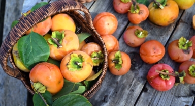 Kahverengi kokarcanın etkilediği 'Trabzon hurması'nda hasat dönemi başladı (Foto Galeri)