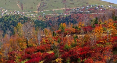 Sis Dağı Yaylası, sonbahar renklerine büründü