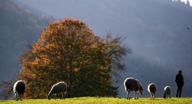 Doğa harika o park sonbaharın renkleriyle büyülüyor (Foto Galeri)