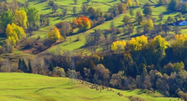 Doğaseverler Safari ile Doğanın Keyfini Doyasıya Yaşıyor (Foto Galeri)
