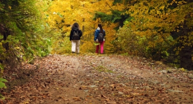 Gümüşhane’nin İsviçre’si olarak bilinen o köyde sonbahar tüm ihtişamıyla devam ediyor (Foto Galeri)