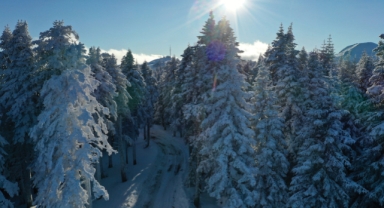 Ilgaz Dağı'nda karla kaplı ormanlara güneş eşlik etti (Foto Galeri)