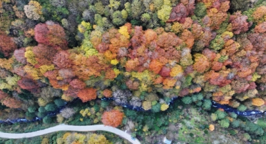 Karadeniz’de Sonbahar (Foto Galeri)