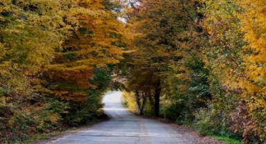 Karadeniz’in o kenti sonbaharda göz kamaştırıyor (Foto Galeri) 