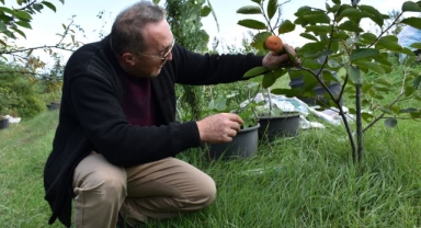 Öğretim görevlisi, bahçesinde 32 ülkeden meyve fidanı yetiştiriyor (Foto Galeri) 