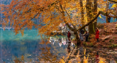Orman denizi Yedigöller'de Renk Cümbüşü (Foto Galeri)