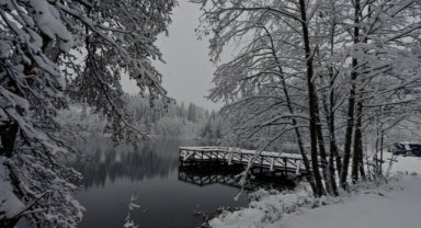 'Sakin şehir’ Şavşat'ın Karagöl Sahara Milli Parkı beyaza büründü (Foto Galeri)
