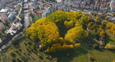 Şehrin ortasında bir tutam sonbahar (Foto Galeri)