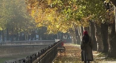 Sonbahar Renk Cümbüşü: Fotoğrafçılar İçin Büyüleyici Manzaralar (Foto Galeri)