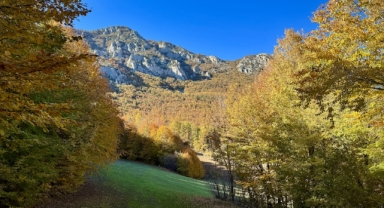 Tokat'ta Çatak Yaylası sonbahar renklerine büründü (Foto Galeri)