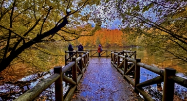 Yedigöller sonbaharın renklerine büründü (Foto Galeri)
