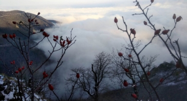 Amasya'da etkili olan sis kartpostallık görüntüler ortaya çıkardı (Foto Galeri) 