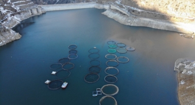 Denizi olmayan o kentten dünyaya balık ihracatı (Foto Galeri)