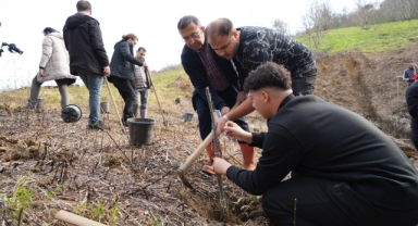Fındık üreticisinin en büyük derdi tarih oluyor (Foto Galeri) 