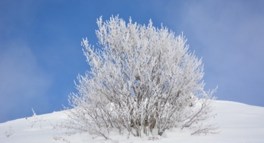 Kar Yağışı Sonrası Büyüleyici Manzaralar