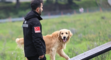 OMÜ köpekli arama kurtarma takımı olası afetlere eğitimlerle hazırlanıyor (Foto Galeri) 