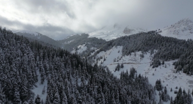 Anadolu'nun yüce dağı Ilgaz doğa tutkunlarını cezbediyor (Foto Galeri)