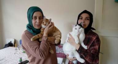 Gümüşhane’de engelli kediler şefkatli ellerle hayata tutunuyor (Foto Galeri)